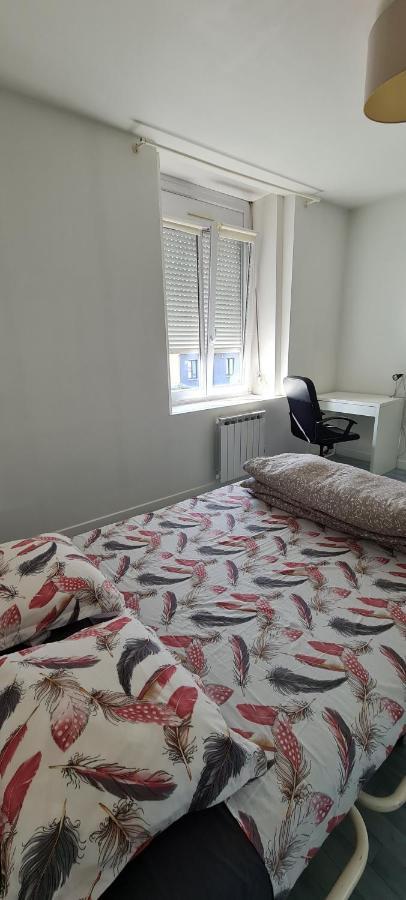La Brique Rouge - Maison 66 M2 Avec 2 Chambres リール エクステリア 写真